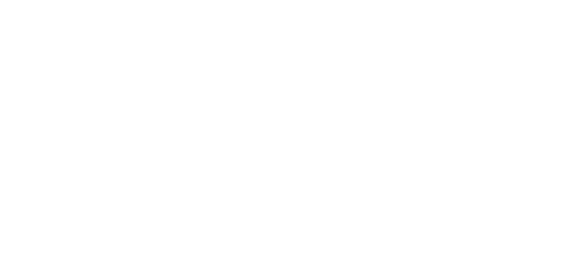 London Vet Rehab